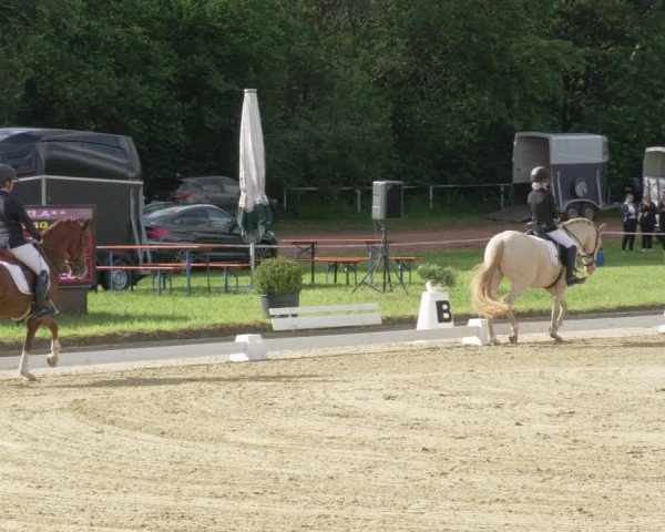 Reitturnier Heiligenwald 2021