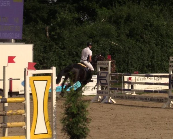 Reitturnier Herbern 2021