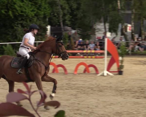 Reitturnier Herbern 2021