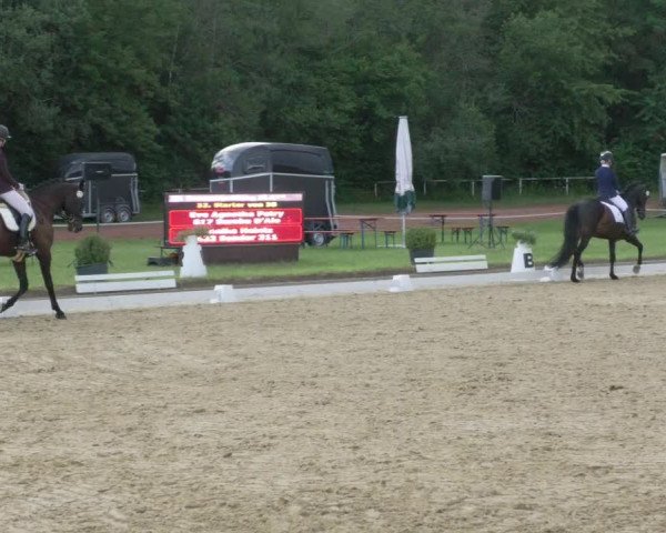 Reitturnier Heiligenwald 2021