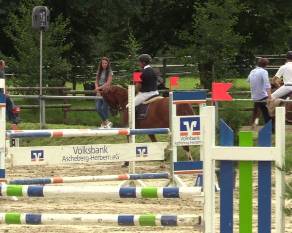 Reitturnier Herbern 2021