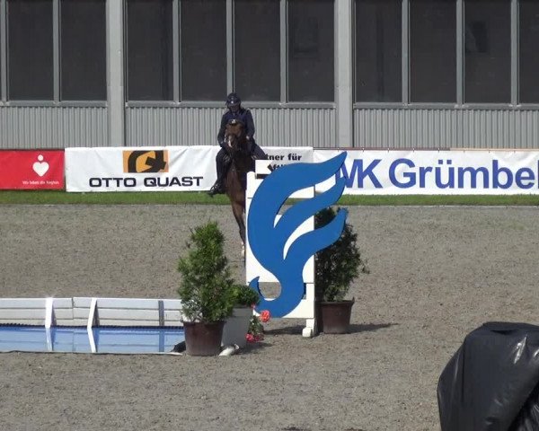 Giebelwald Classics mit Westfälische Meisterschaften Dressur und Springen 2021