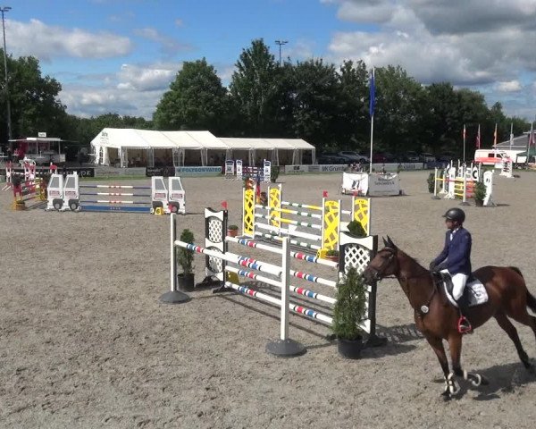 Giebelwald Classics mit Westfälische Meisterschaften Dressur und Springen 2021