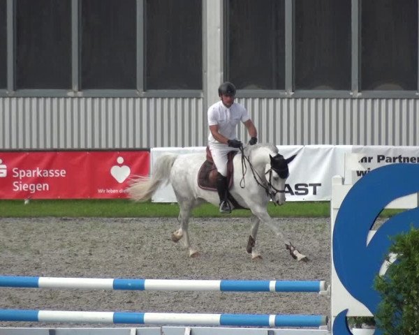 Giebelwald Classics mit Westfälische Meisterschaften Dressur und Springen 2021