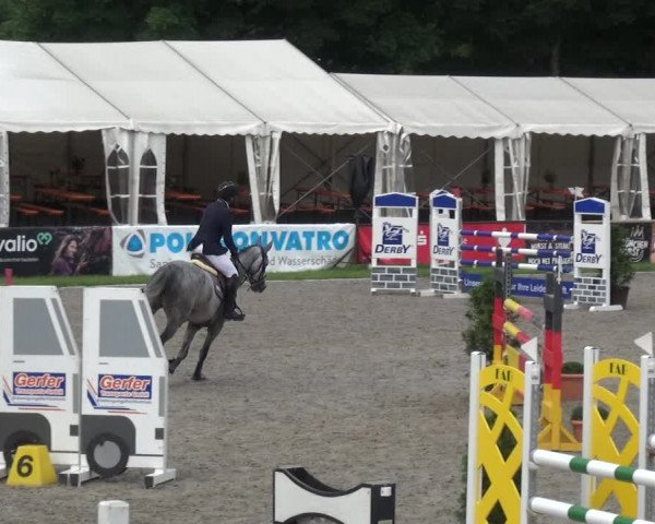 Giebelwald Classics mit Westfälische Meisterschaften Dressur und Springen 2021