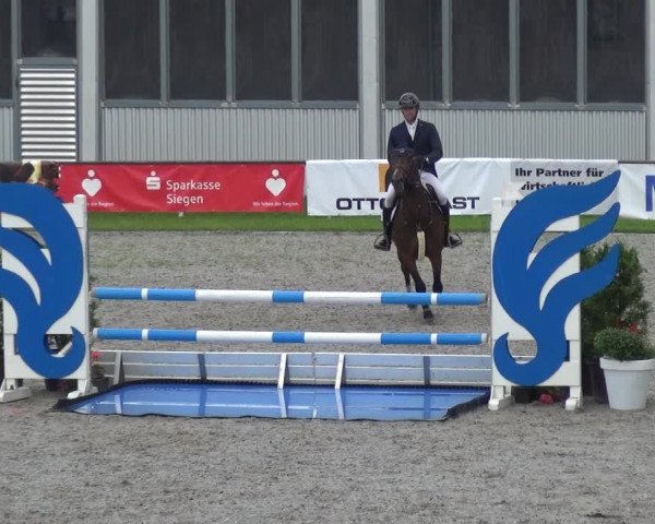 Giebelwald Classics mit Westfälische Meisterschaften Dressur und Springen 2021
