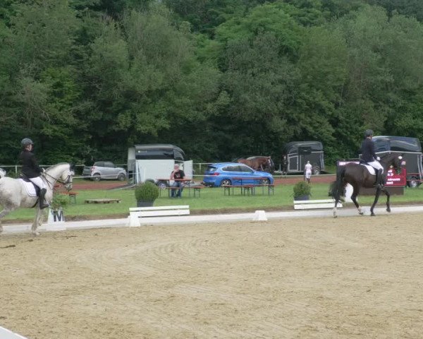 Reitturnier Heiligenwald 2021