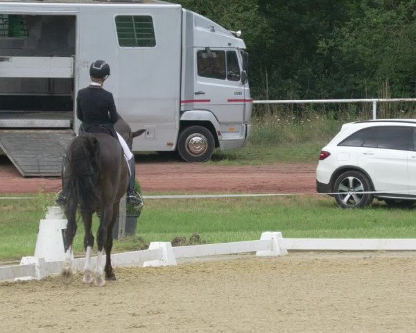 Reitturnier Heiligenwald 2021