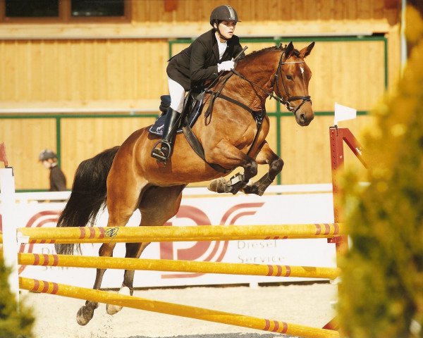 broodmare Coco Chanel (Westphalian, 2002, from Cordobes I)