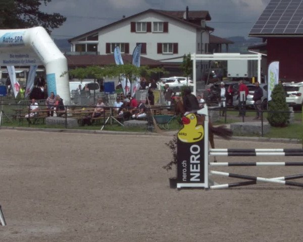 Reitturnier Gossau 2021