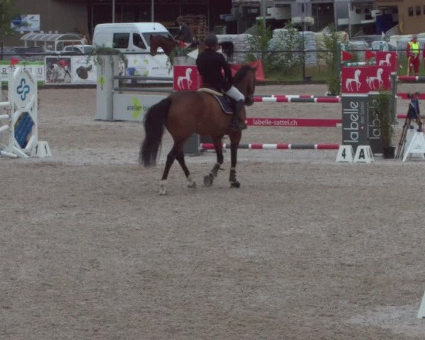 Reitturnier Gossau 2021