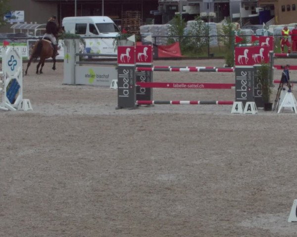 Reitturnier Gossau 2021