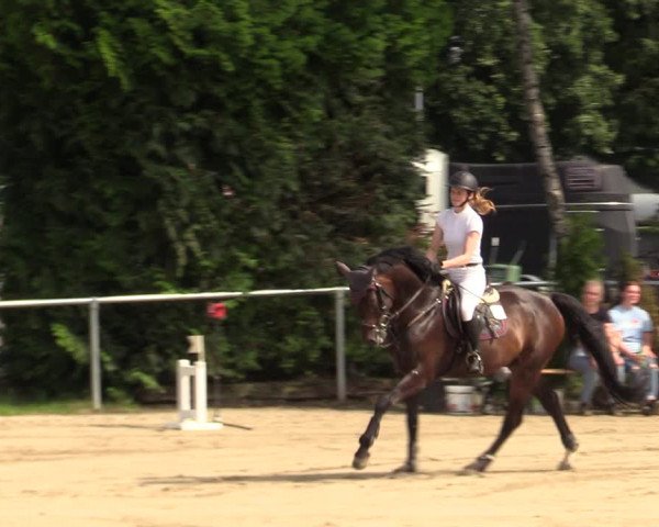 Reitturnier Herbern 2021