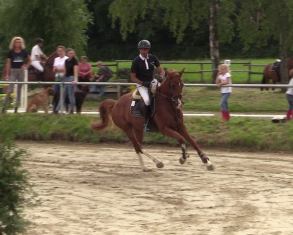 Reitturnier Herbern 2021