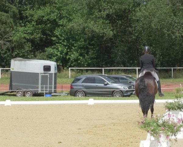 Reitturnier Heiligenwald 2021