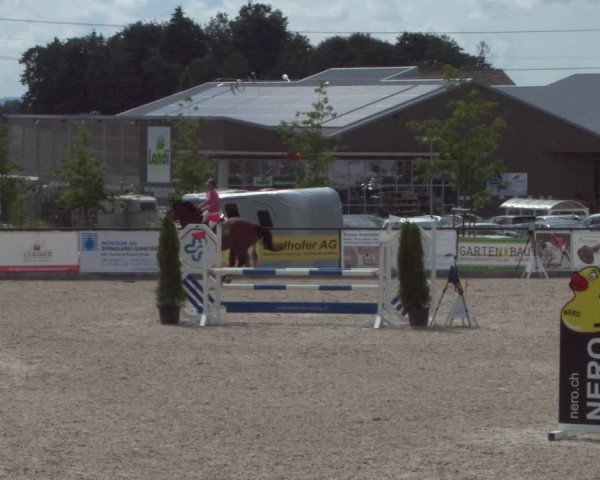 Reitturnier Gossau 2021