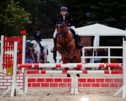 broodmare Sweet Fire (Oldenburg show jumper, 2002, from Stakkato)