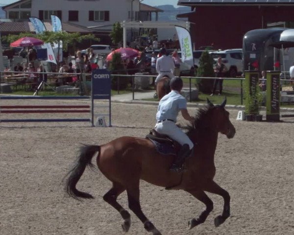 Reitturnier Gossau 2021