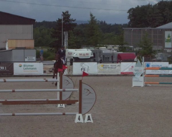Reitturnier Gossau 2021