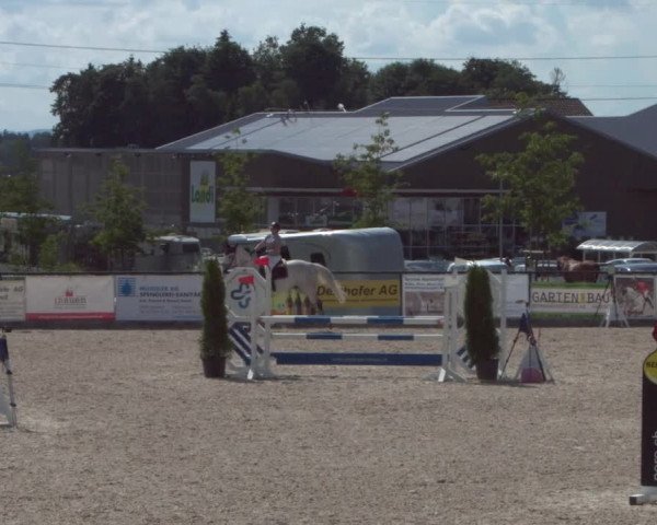 Reitturnier Gossau 2021