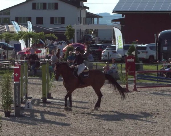 Reitturnier Gossau 2021