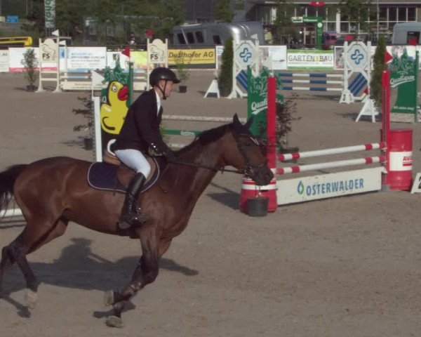 Reitturnier Gossau 2021