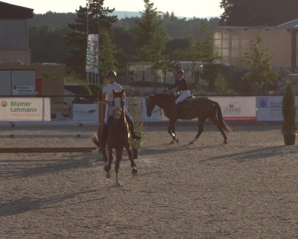 Reitturnier Gossau 2021