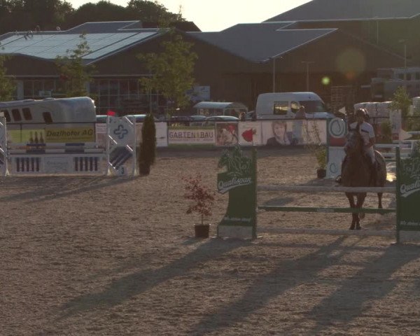 Reitturnier Gossau 2021