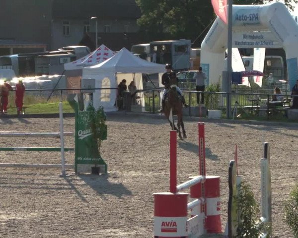 Reitturnier Gossau 2021
