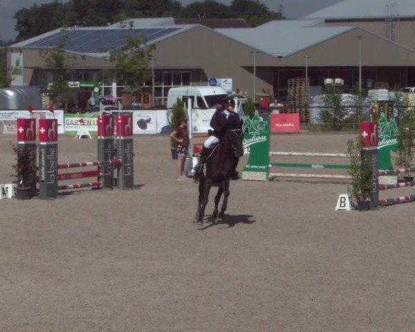 Reitturnier Gossau 2021