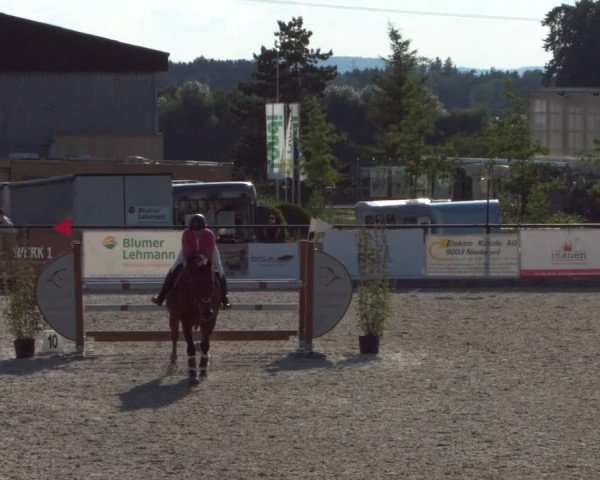 Reitturnier Gossau 2021