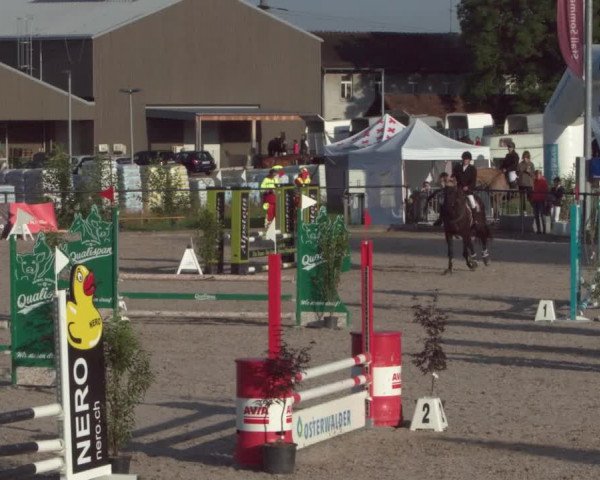 Reitturnier Gossau 2021