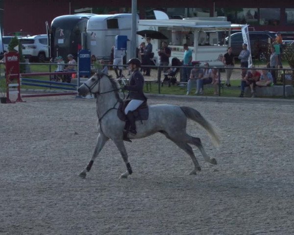 Reitturnier Gossau 2021