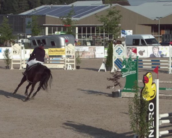 Reitturnier Gossau 2021