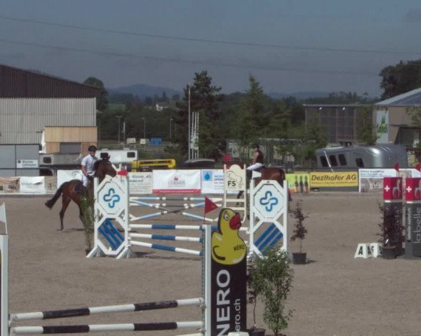 Reitturnier Gossau 2021