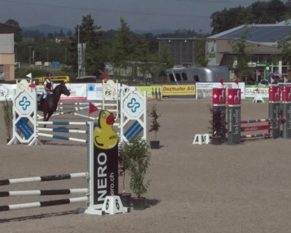 Reitturnier Gossau 2021