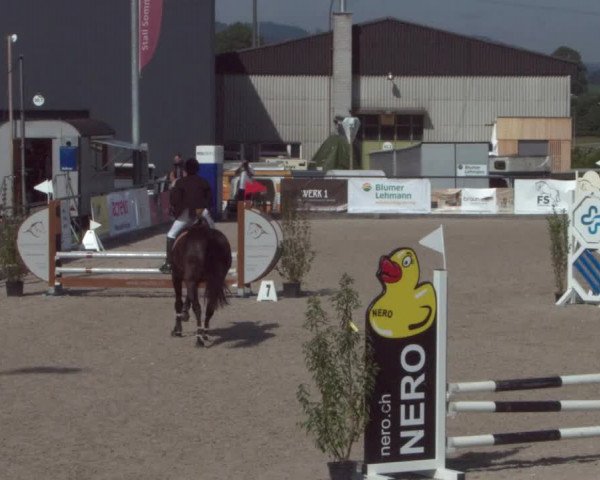 Reitturnier Gossau 2021