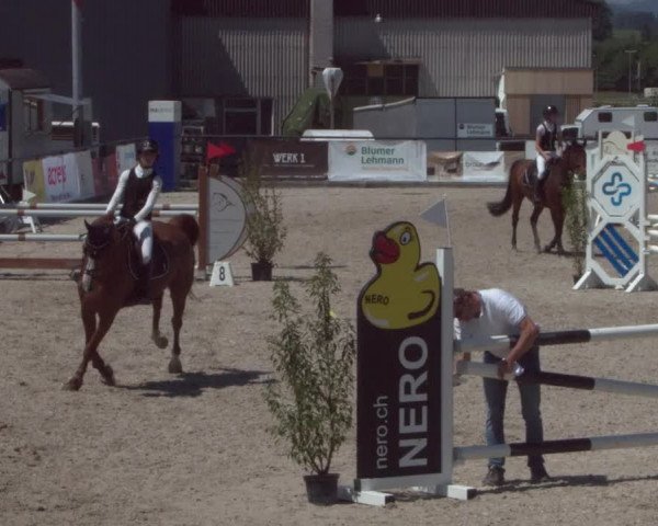 Reitturnier Gossau 2021