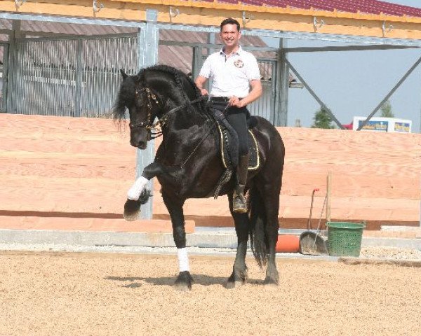 horse Dinand (Friese, 2009, from Doaitsen 420)