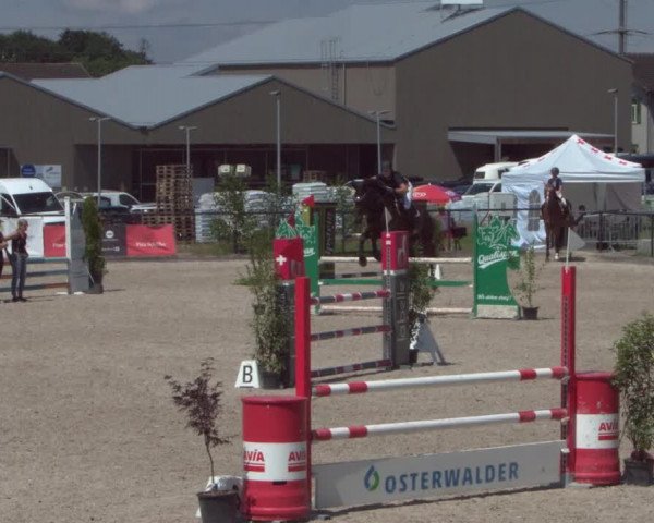 Reitturnier Gossau 2021