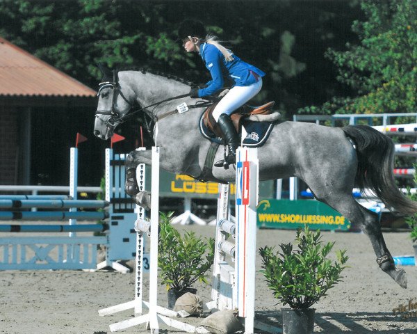jumper Costa Rica 60 (Hanoverian, 2010, from Calido I)