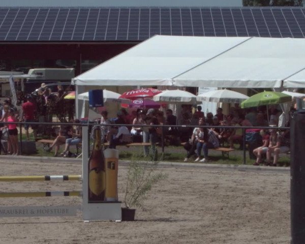 Reitturnier Gossau 2021