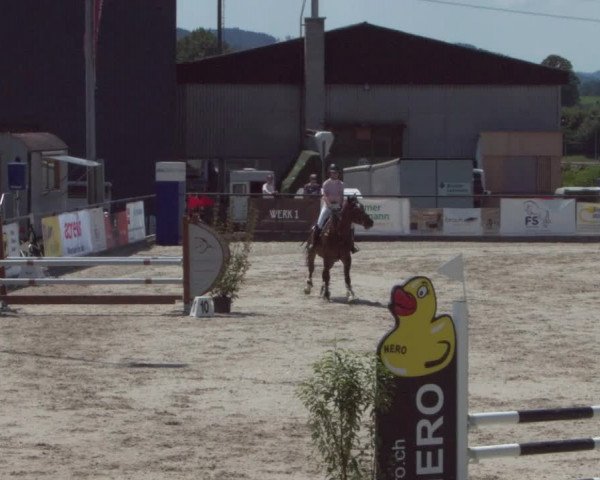 Reitturnier Gossau 2021