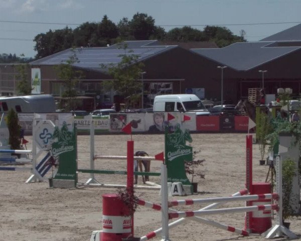 Reitturnier Gossau 2021