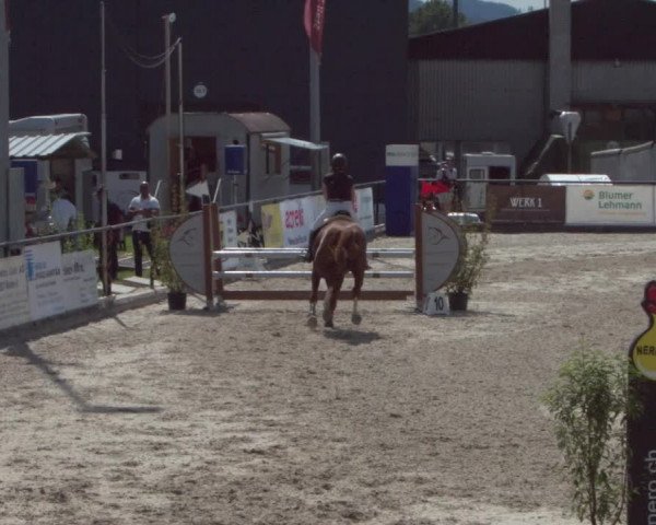 Reitturnier Gossau 2021