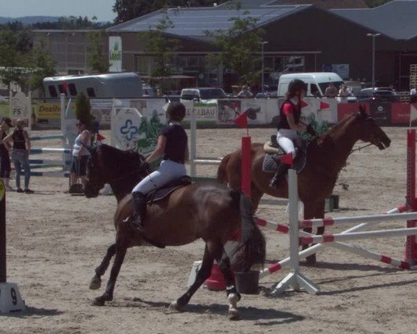 Reitturnier Gossau 2021