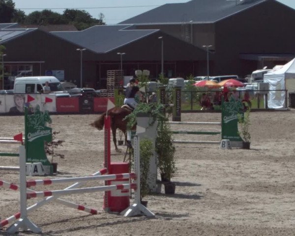 Reitturnier Gossau 2021