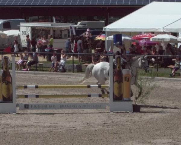 Reitturnier Gossau 2021