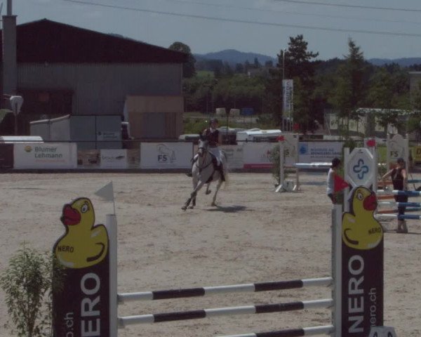 Reitturnier Gossau 2021