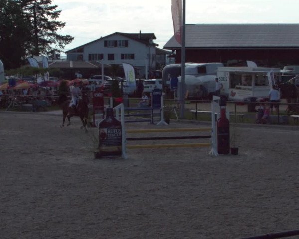 Reitturnier Gossau 2021